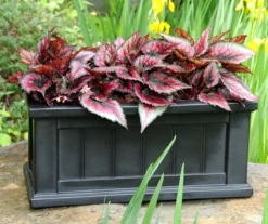 Mayne Inc. Cape Cod Rectangle Planter -Garden Oasis 810440366 1