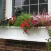 Mayne Inc. Cape Cod 4' Window Box -Garden Oasis 810440404 1