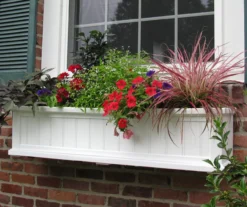 Mayne Inc. Cape Cod 4' Window Box