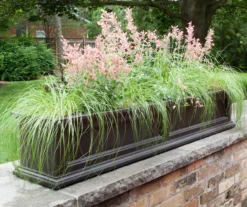 Mayne Inc. Fairfield 5' Window Box -Garden Oasis 810440451 3