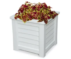 Mayne Inc. Lakeland 16" Square Planter -Garden Oasis 810440545 2
