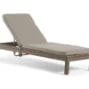 Broyhill Eagle Brooke All-Weather Wicker Cushioned Chaise Lounger -Garden Oasis 810459548