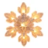 Clear Snowflake Light Set, 5-Count -Garden Oasis 810472882 1