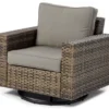 Broyhill Eagle Brooke All-Weather Wicker Swivel Cushioned Patio Glider -Garden Oasis 810496528