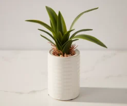 Mini Faux Greenery In White Ceramic Pot -Garden Oasis 810509521 2