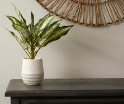 Zebra Plant In Ceramic Pot -Garden Oasis 810509522 2