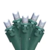 White Wide Angle LED Lights On Green Wire, 100-Lights -Garden Oasis 810512285