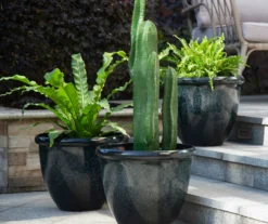 14.25" Green Speckle Glaze Plastic Planters, 3-Pack -Garden Oasis 810525063 7