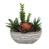 Succulent Arrangement in Spotted Cement Pot -Garden Oasis 810534579 1