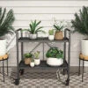 Cosco Outdoor Living Wheeled 2-Shelf Serving Cart -Garden Oasis 810541514 1