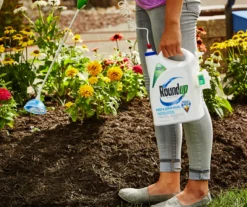 Roundup Ready-To-Use Weed & Grass Killer III With Sure Shot Wand, 1.33 Gal. -Garden Oasis 810543000 5