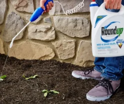 Roundup Ready-To-Use Weed & Grass Killer III With Comfort Wand, 1.33 Gal. -Garden Oasis 810543472 4