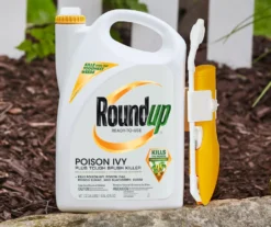 Roundup Ready-To-Use Poison Ivy Plus Tough Brush Killer With Comfort Wand, 1.33 Gal. -Garden Oasis 810543477 4