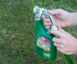 Weed B Gon Chickweed, Clover & Oxalis Killer For Lawns Ready-To-Spray, 32 Oz. -Garden Oasis 810543513 2