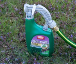 Weed B Gon Chickweed, Clover & Oxalis Killer For Lawns Ready-To-Spray, 32 Oz. -Garden Oasis 810543513 3