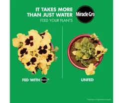 LiquaFeed 4-Piece All Purpose Plant Food Advance Starter Kit & Tomato, Fruits & Vegetables Plant Food Bundle -Garden Oasis 810543525 4