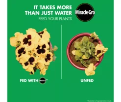 LiquaFeed 4-Piece All Purpose Plant Food Advance Starter Kit & Bloom Booster Flower Food Bundle -Garden Oasis 810543527 6