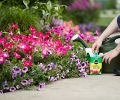 Water Soluble All Purpose Plant Food & Garden Feeder Bundle -Garden Oasis 810543537 6