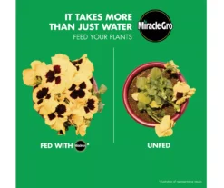 Water Soluble All Purpose Plant Food & Garden Feeder Bundle -Garden Oasis 810543537 7