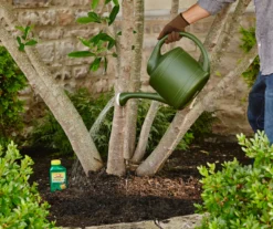 Tree & Shrub Fruit Tree Spray, 16 Oz. -Garden Oasis 810543540 2