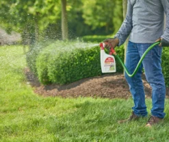 BugClear Insect Killer For Lawns & Landscapes Ready-To-Spray, 32 Oz. -Garden Oasis 810543549 3