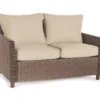 Broyhill Autumn Cove All-Weather Wicker Cushioned Patio Loveseat -Garden Oasis 810544196
