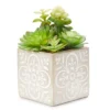 12" Artificial Succulents In Floral Patterned Square Cement Pot -Garden Oasis 810545808