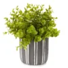 Greenery In Black & White Round Cement Pot -Garden Oasis 810548731