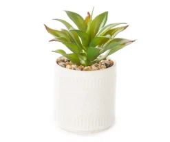 Greenery In Antique White Ceramic Pot