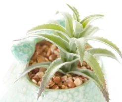 Garden Oasis -Garden Oasis 810548751 1