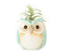 Succulent In Blue Owl Ceramic Pot