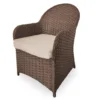 Broyhill Autumn Cove All-Weather Wicker Cushioned Patio Captain's Dining Chair -Garden Oasis 810554526