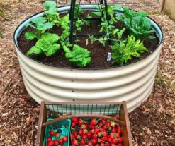 42" Pearl White Metal Raised Garden Bed -Garden Oasis 810559830 3