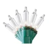 Clear Mini Light Set, 300-Lights -Garden Oasis 810567444