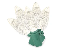 LED Diamond Cut C6 Light Set, 60-Lights -Garden Oasis 810567445 A0 1