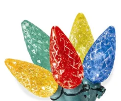 LED Diamond Cut C6 Light Set, 60-Lights -Garden Oasis 810567446 A0 1