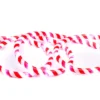 18' Candy Cane LED Rope Light -Garden Oasis 810567532 1
