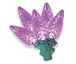 LED Diamond Cut C6 Light Set, 60-Lights -Garden Oasis 810567536 A0 1