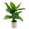 40" Dieffenbachia Plant In Embossed Diamond Ceramic Pot -Garden Oasis 810571563