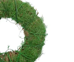 12" Moss & Twig Wreath -Garden Oasis 810574668 2