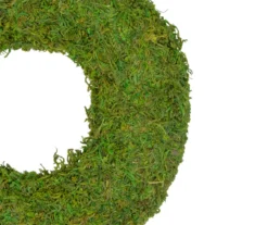 13.7" Reindeer Moss Wreath -Garden Oasis 810574673 2