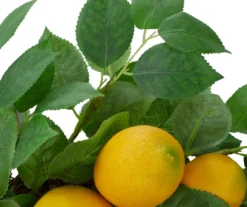 18" Lemon & Teardrop Leaf Wreath -Garden Oasis 810574679 3