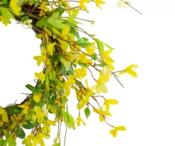 20" Forsythia & Leaf Wreath -Garden Oasis 810574693 3