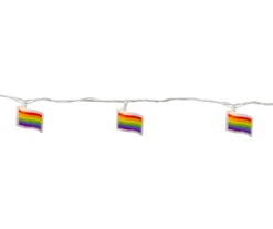 Northlight Pride Flag Mini Light Set, 10-Lights -Garden Oasis 810576024 2