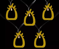 Northlight Pineapple LED Fairy Light Set, 10-Lights -Garden Oasis 810576093 2