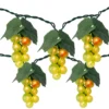 Northlight Green Grape Mini Light Set, 5-Count -Garden Oasis 810576177