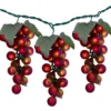 Northlight Red Winery Grape Mini Light Set, 4-Count 2 Northlight Red Winery Grape Mini Light Set, 4-Count -Garden Oasis 810576184