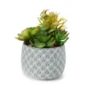Artificial Succulent Medley In Leaf Carved Cement Pot -Garden Oasis 810586811 A0 1