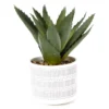 Artificial Aloe In Line & Dot Ceramic Pot -Garden Oasis 810587201 A0 1