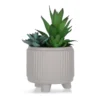 Artificial Succulent Arrangement In Gray Ribbed Footed Pot -Garden Oasis 810587202 A0
